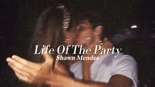 Life Of The Party - Shawn Mendes (sped up)