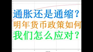 财经冷眼：11年来CPI首为负，到底是通缩还是通胀？如何防止货币紧缩导致杠杆断裂？如何躲避灰犀牛？（20201211第402期）