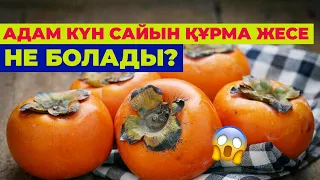 Адам күн сайын ҚҰРМА жесе не болады? | #құрма #денсаулық #пайдалы #қазақстан