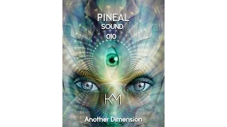 Pineal Sound 010 - Progressive House 432hz/New Year 2017 Mix