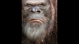 THEE Most FUNNY & REAL 911 BIGFOOT EMERGENCY CALL ! -TIM PEELER. I believe him, Drunk or not!