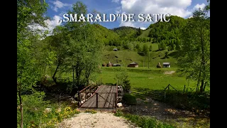 ,,Smarald” de Sătic 🌞🌳🦅