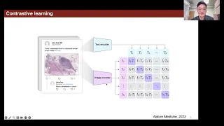 Visual-language model for digital pathology and clinical decision-making