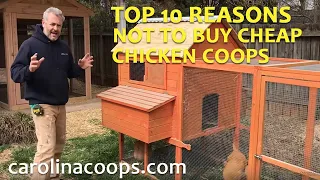 Beware of Cheap Chicken Coops!