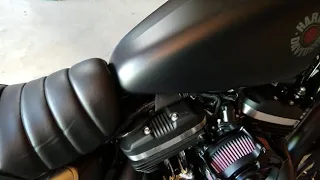 2019 Harley-Davidson Sportster Iron 883 Vance & Hines Shortshots Exhaust