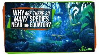 Why Are There So Many Species Near the Equator?