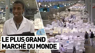 LE PLUS GRAND MARCHÉ DU MONDE (Rungis)