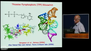 Structural biology of gene, epigenetic and immune regulation