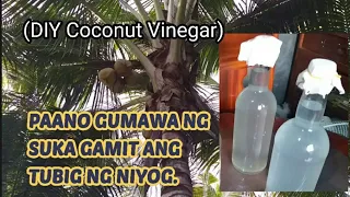 Paano Gumawa ng Suka Gamit ang Tubig ng Niyog. (DIY Coconut Vinegar)