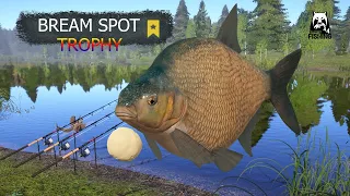 Russian Fishing 4 RF4 Old Burg Lake Spot Bream TROPHY