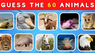 Guess 60 Animal in 5 Secon / Easy-Medium-Hard
