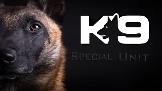 Military&Police Dogs │ Tribute