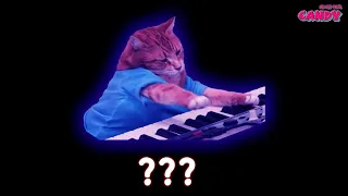 10 Keyboard Cat Sound Variations in 60 Seconds