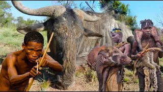 Impressive How Hadzabe Tribe Survive by Hunting in the Wild