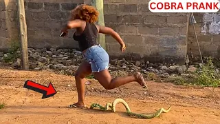 ❌ Giant Snake Prank | Bushman Prank. Prank Ghana.