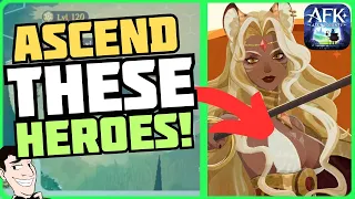 Top 5 Heroes to ASCEND to Legendary+ - Great for F2P Players! [AFK Journey]