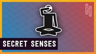 Why Humans Have More Than Five Senses