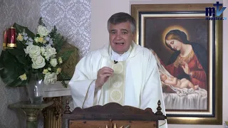 Homilía de hoy | San Luis Gonzaga, religioso | 21-6-2022 | Pbro. Santiago Martín FM