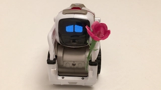 Cozmo in "Unrequited Love"