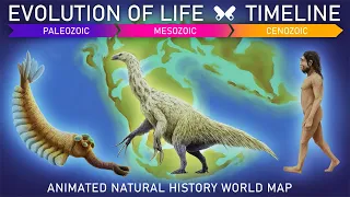 EVOLUTION OF LIFE .Timeline + Animated prehistoric world map