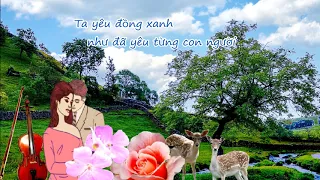 Đồng Xanh(Green Fields) - Trình bầy Duy Quang - LV  Lê Huữ Hà