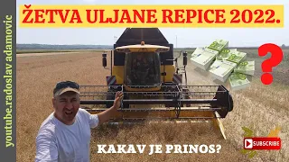 ŽETVA ULJANE REPICE 2022.KAKAV JE PRINOS? ; OIL RAPE SEED HARVEST 2022.WHAT IS THE YIELD?