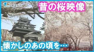 【懐かし映像】花見を楽しむ人々の映像などこの時期ならではの昔の映像をまとめました【桜】