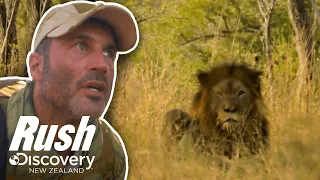 Joel Runs Straight Into A Lions Den! I Manhunt With Joel Lambert