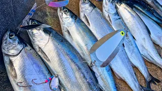 Kokanee Fishing: Is More Flash More Better?