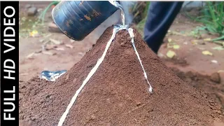 Casting a Giant Ant-House 👌 | Amazing video | with relaxing nature