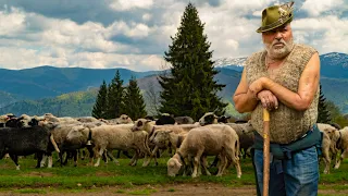 Вихід на полонини в Квасах. Міра з Дмитром Шушманом