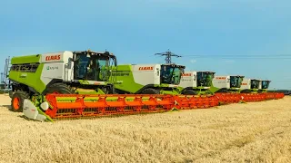 BIG Barley Harvest 2021 Árpa aratás 7x Claas Lexion 8x John Deere