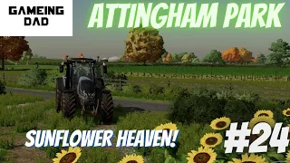 HARVEST TIME! #fs22 #attinghampark #youtube #gameingdad #jcb #masseyferguson #valtra