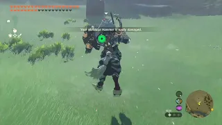 lore accurate Link VS Lynel - Tears of the kingdom