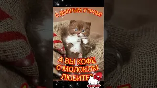 ДОБРОЕ УТРЕЧКО!