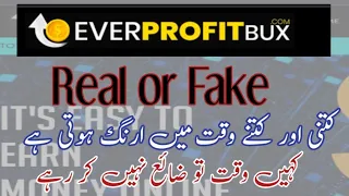 Everprofit Bux real ya fake, online earning