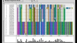 Bioinformatics part 4 Introduction to FASTA and BLAST