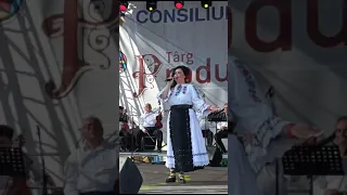 Diana Roman-Arde Cluju’ și Feleacu (cover)