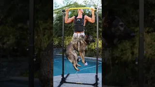 Pull- pups with 110 LBS added weight 🐕 #shorts #pullups #calisthenics #fitness