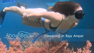 Freediving adventure in Raja Ampat