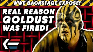 The REAL Reason Goldust Was FIRED In 2012 | WWE Backstage Exposé