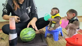 Mimi Kuku holds a glass and waits for Mom to make watermelon smoothie