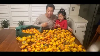 How to eat and preserve Persimmon 2024