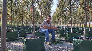 Tory Schwope discusses the first crop of our Packaged Trees to hit the market