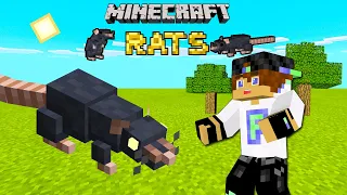 Как приручить крысу МайнкрафтОбзор мода RATS 1.12.2