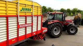 Gras inkuilen 2015 met Case IH Magnum 7240 Pro & Pöttinger Jumbo, Magnum 7110 en Ford 4000