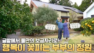 [SUB] 행복이 꽃피는 계절의 정원 Garden in the Blooming Season | 정원의 발견 Wonders of Garden | KBS제주20240426방송