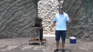 Aventura Marina - Zoológico de Huachipa