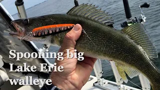 Trolling spoons for Lake Erie walleye