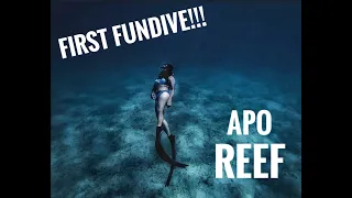 MY FIRST FUN DIVE // FREEDIVING // APO REEF // SHIPWRECK // OCCIDENTAL MINDORO // PHILIPPINES